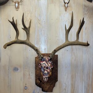 Extra-Large Mule Deer Antler Mount – Patriotic Replica Skull on Maple Burl Plaque