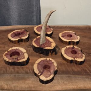 Fire-Killed Juniper Coaster Set with Deer Antler Base — 6 Piece Set — 4" Round, 1/2" Thick
